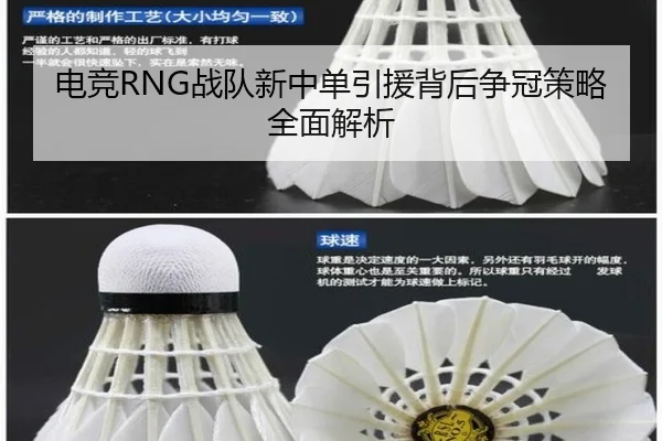 dian-jing-zhan-dui-xin-zhong-dan-yin-yuan-bei-hou-zheng-guan-ce-lve-quan-mian-jie-xi-2-641.jpg